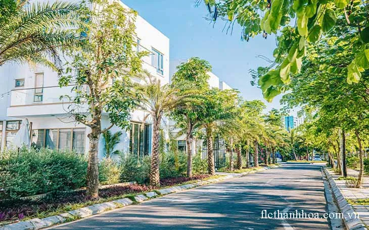Không gian bên ngoài vô cùng tươi mát của villa DB06